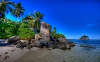 beach, body of water, nature, tropics, shore wallpaper