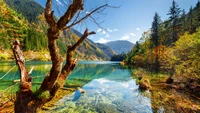 Reflexión serena de los colores de otoño en el Parque Nacional Jiuzhaigou