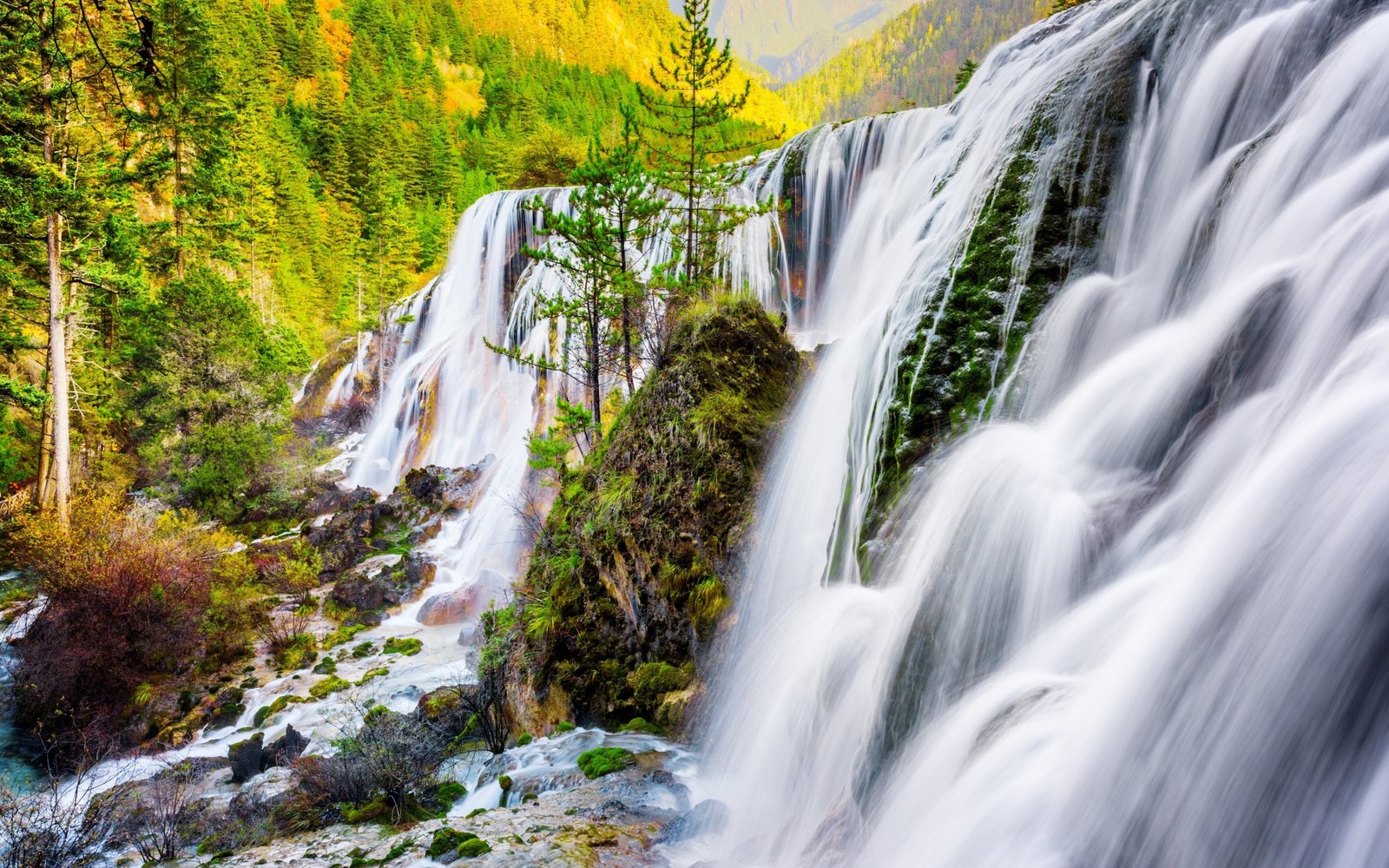 Um close-up de uma cachoeira com uma floresta ao fundo (cachoeira, corpo de água, recursos hídricos, natureza, água)