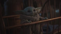 Baby Yoda in a cozy cradle, gazing curiously.