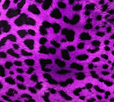 leopardo, roxo