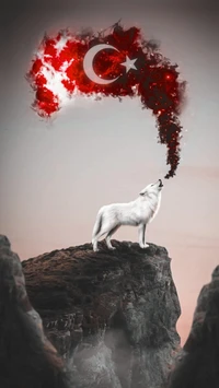 Majestic White Wolf Howling Under a Turkish Flag Skyscape