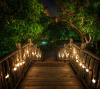 night, paradise, path, stairs wallpaper