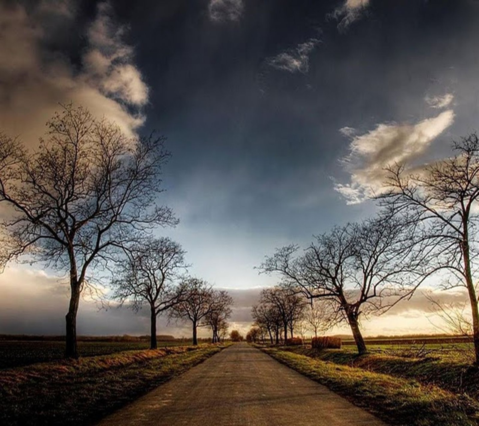 Eine aussicht auf eine straße mit bäumen auf beiden seiten und einem bewölkten himmel (wolken, blatt, blätter, natur, pfad)