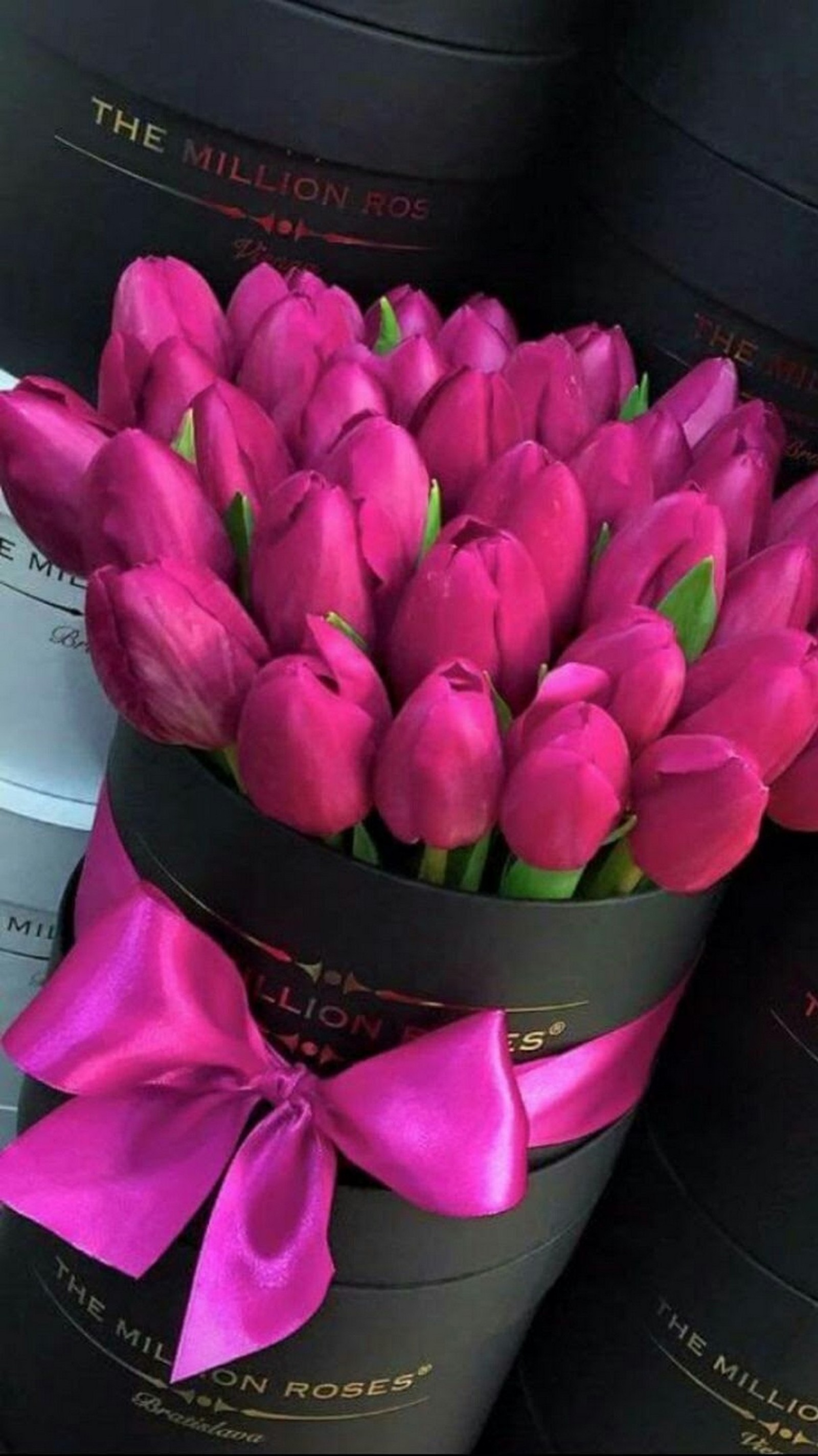 There are many pink tulips in a black box with a pink bow (black, bouquet, green, nice, pink)