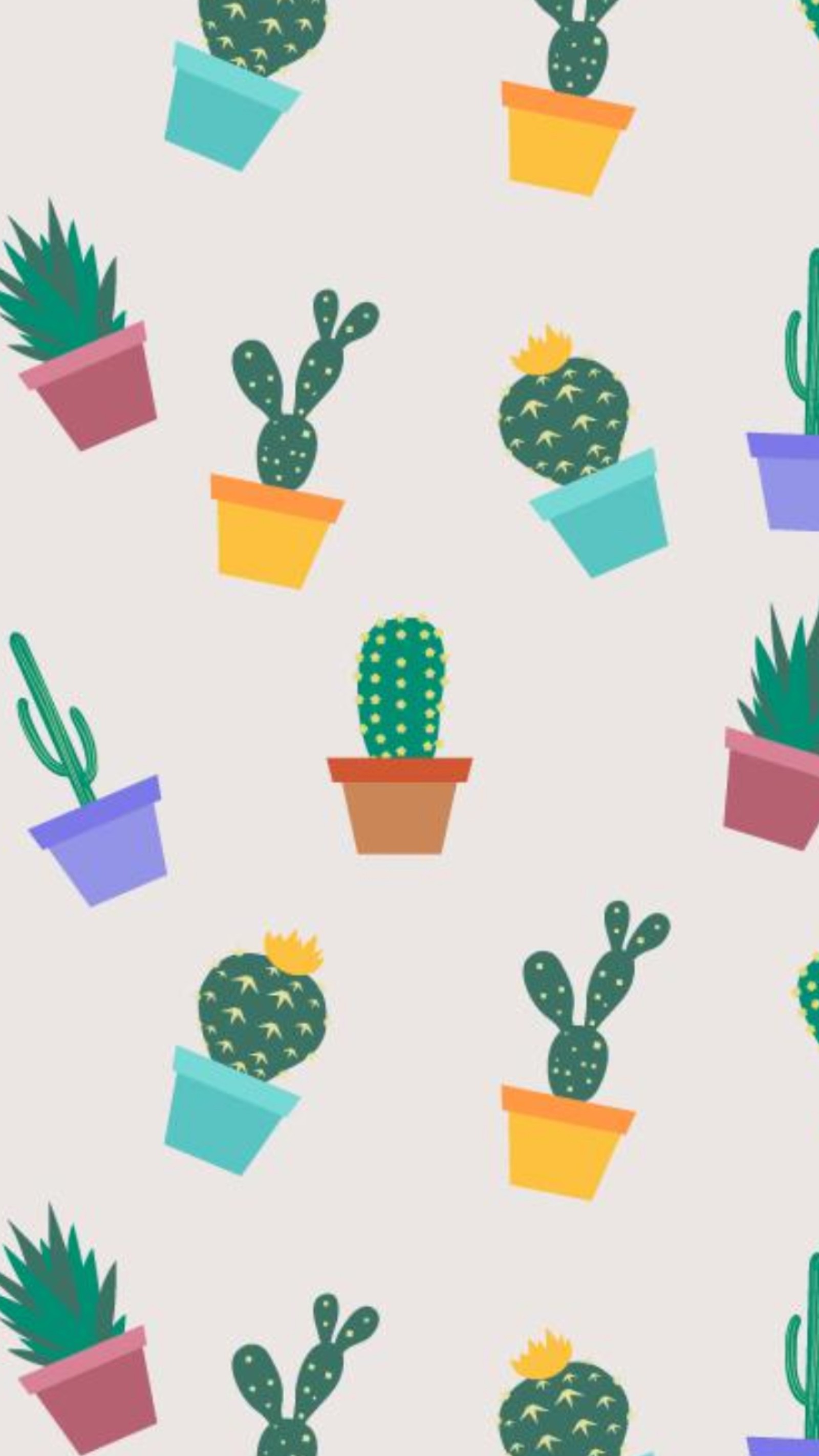 A pattern of cactus plants in pots on a gray background (cactus, cartoon)