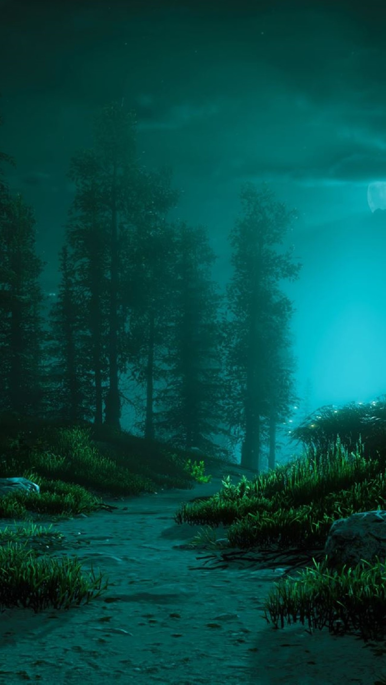 There is a small stream running through a forest at night (dawn, game, gaming, horizon, zero)