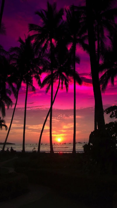 Schattenriss von Palmen vor einem rosa Himmel über der Insel bei Sonnenuntergang