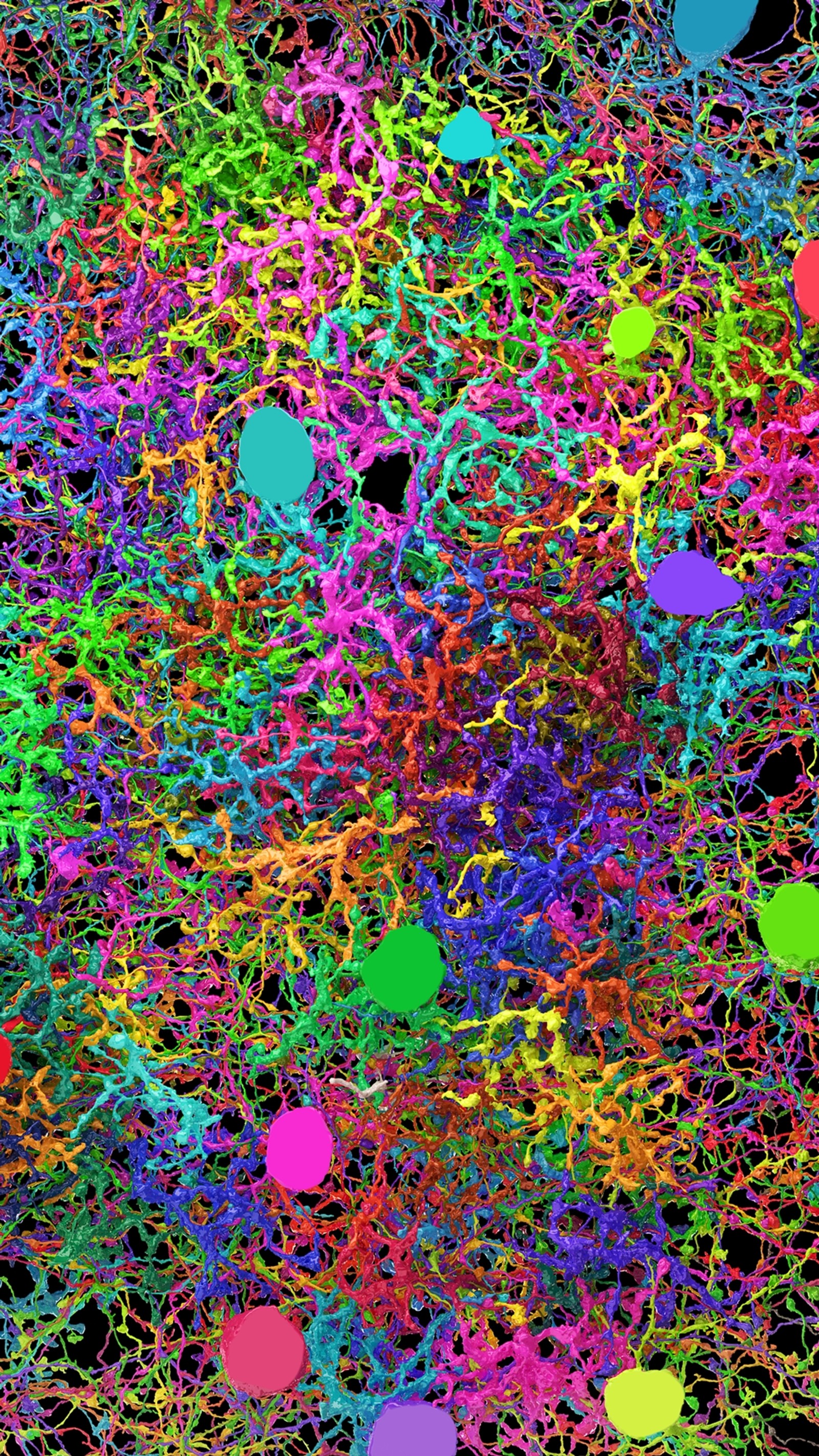 A close up of a bunch of colorful sprinkles on a black surface (3d, abstract, art, color, colour)