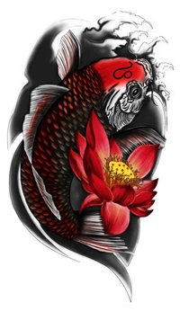 poisson, koi