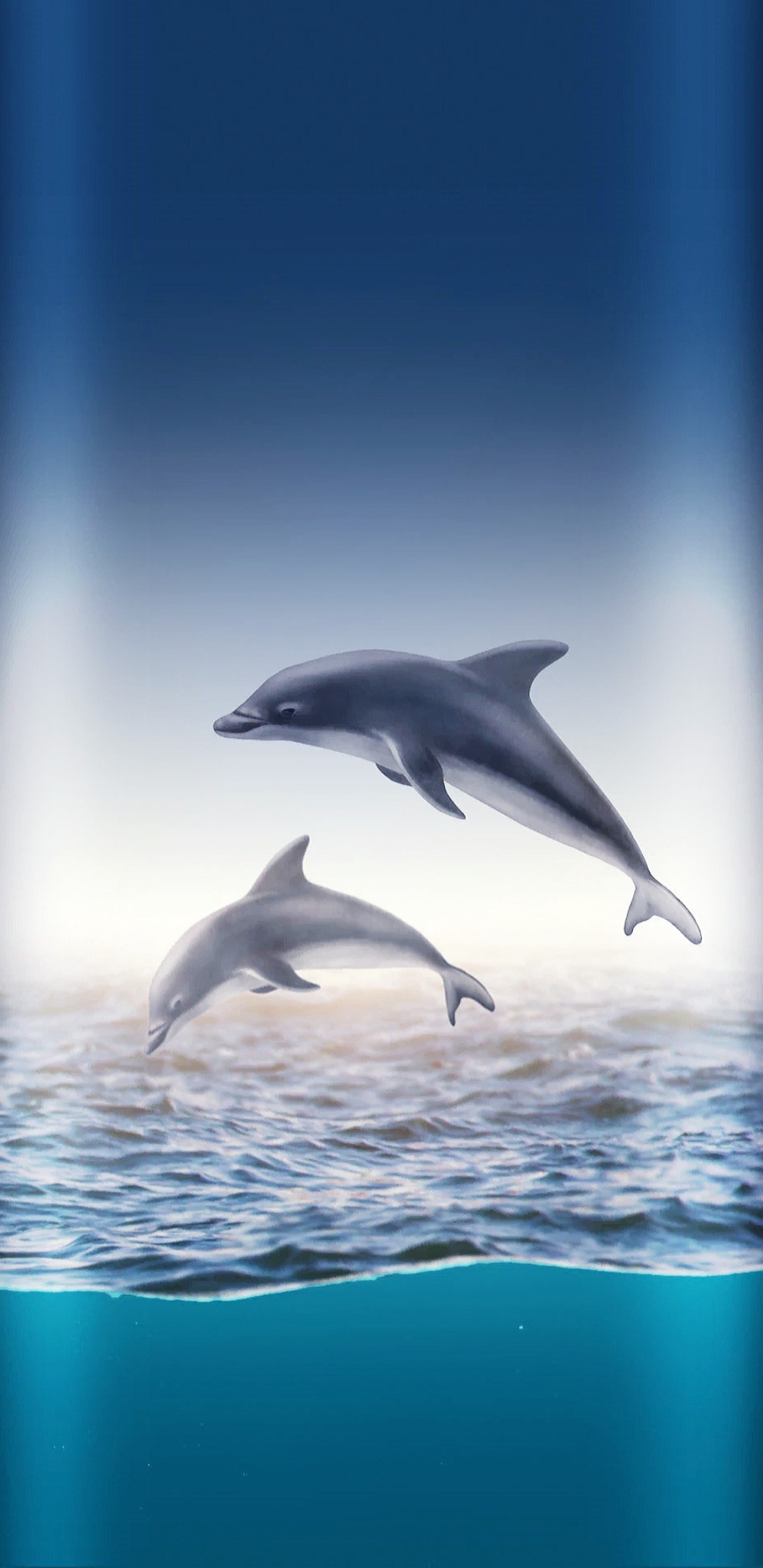 blue, dolphin, dolphins, sea wallpaper