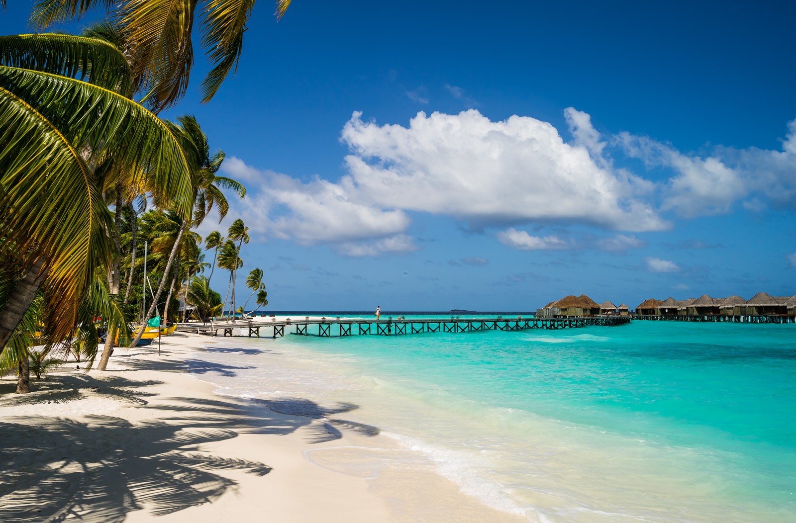 Vue d'une plage avec des palmiers et un quai (station, plage, vacances, tropiques, caribéen)