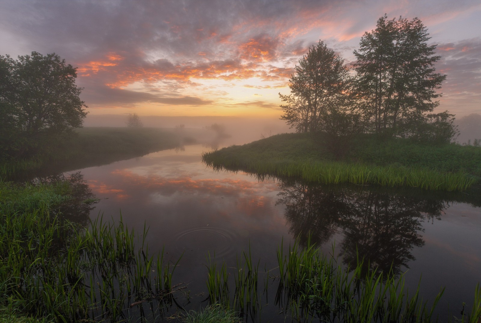 Eine aussicht auf einen fluss mit ein paar bäumen und gras im vordergrund (reflexion, natur, morgen, wasser, fluss)