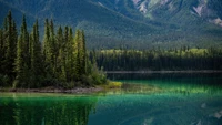 forêt, lac, nature, paysage