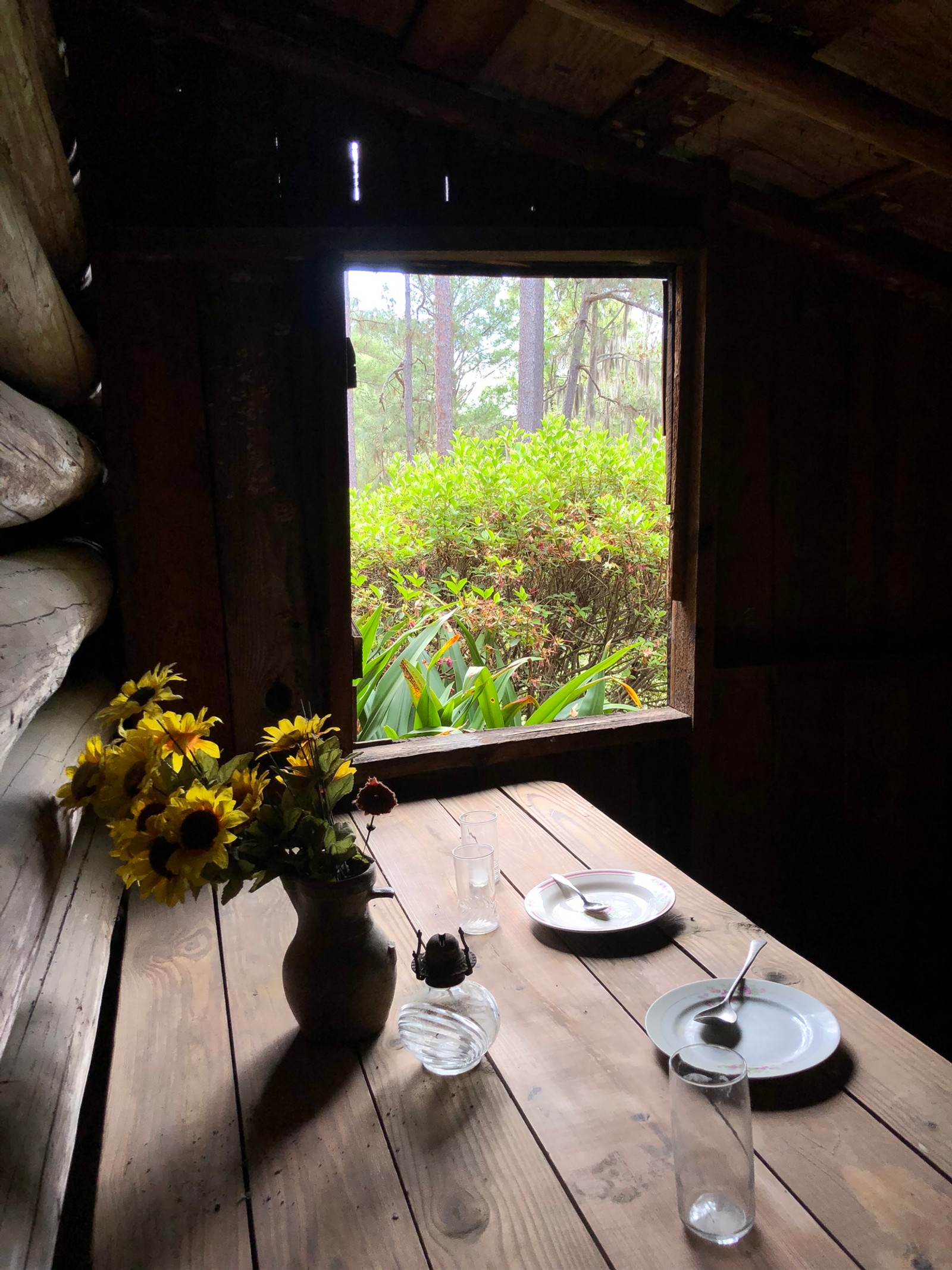 There is a vase of flowers on a table in front of a window (house, lighting, daylighting, science, biology)