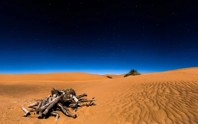 Noche estrellada sobre dunas del desierto con madera flotante