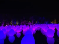 Noite encantada: esferas violetas iluminadas refletindo na água em Cingapura