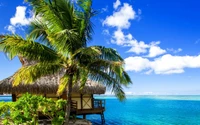 Tropical Paradise: Palm Tree by the Caribbean Sea