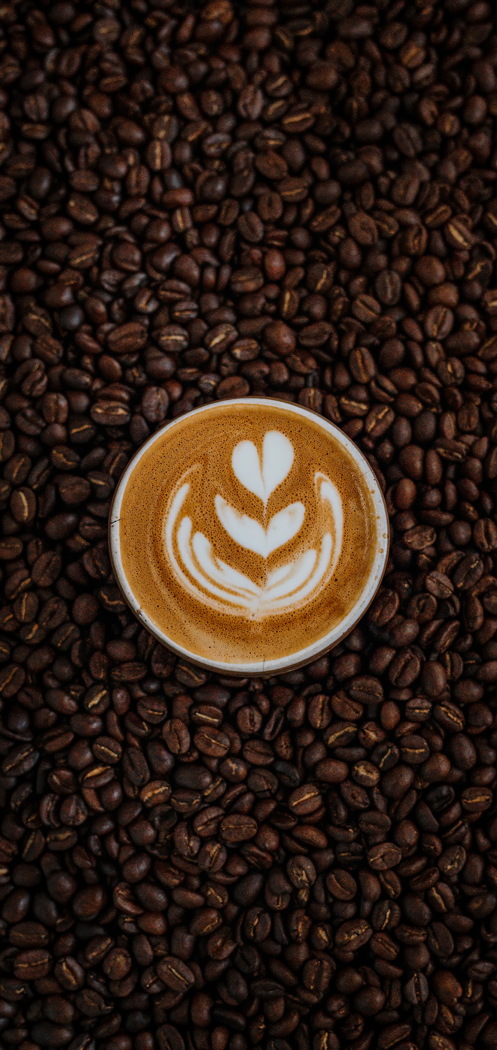 Eine tasse kaffee auf einem haufen kaffeebohnen (koffein, braun, essen, zutat, kaffee)