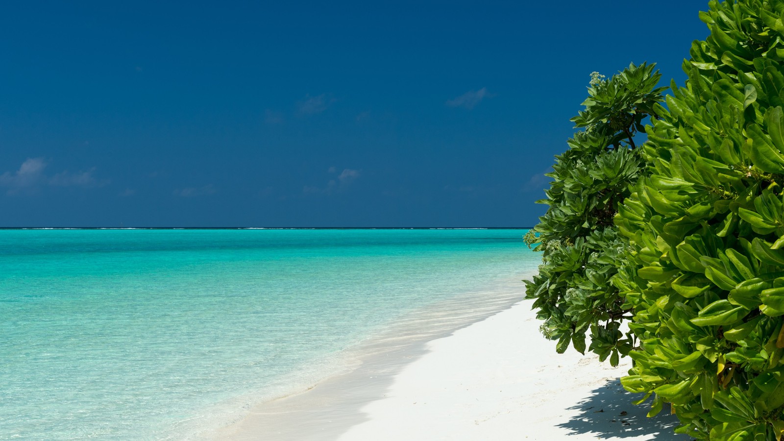 Vue aérienne d'une plage avec du sable blanc et de l'eau bleue (mer, plage, tropiques, océan, rivage)