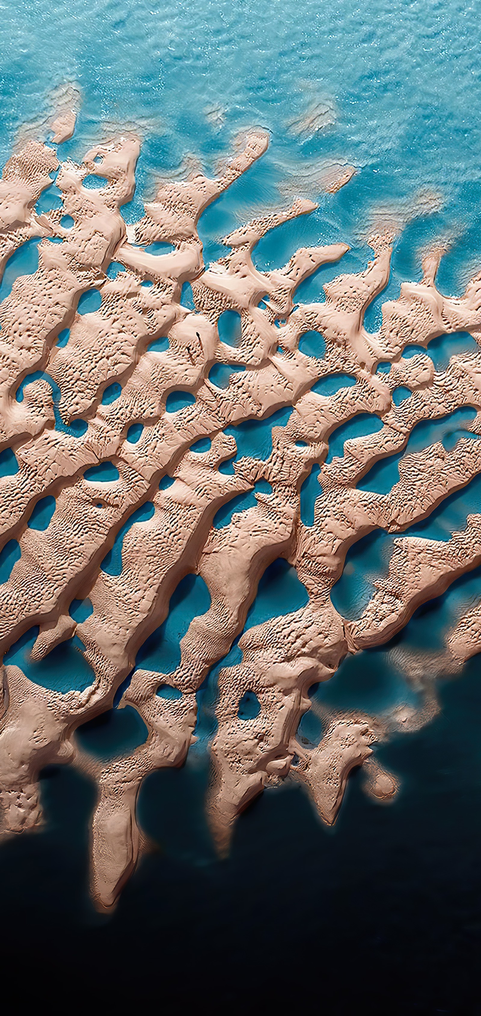 Vue arabe d'une plage de sable avec un océan bleu et quelques oiseaux (eau, mer, biologie marine, azur, textile)