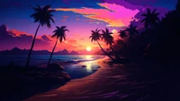 beach, palm tree, sunset, coast, scenery wallpaper