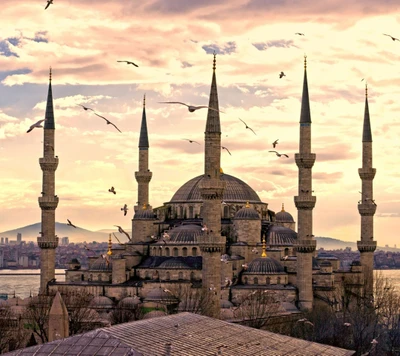 Majestätische Moschee in Istanbul unter einem ruhigen Himmel