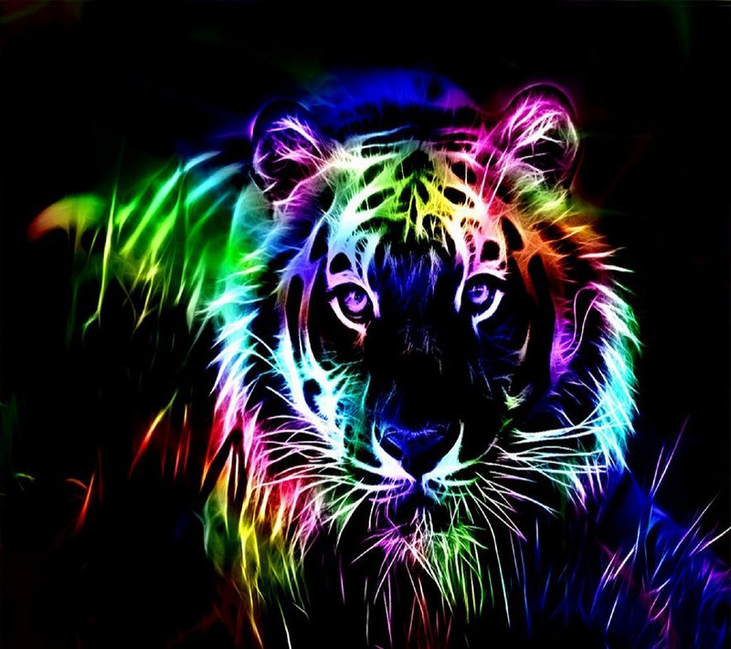 Um close de um tigre com um fundo colorido (colorido, tigre)