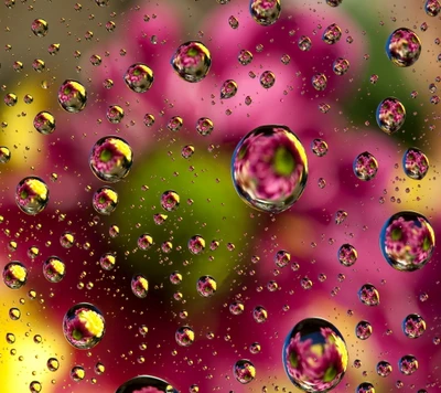 gotas, floral, flores, agua