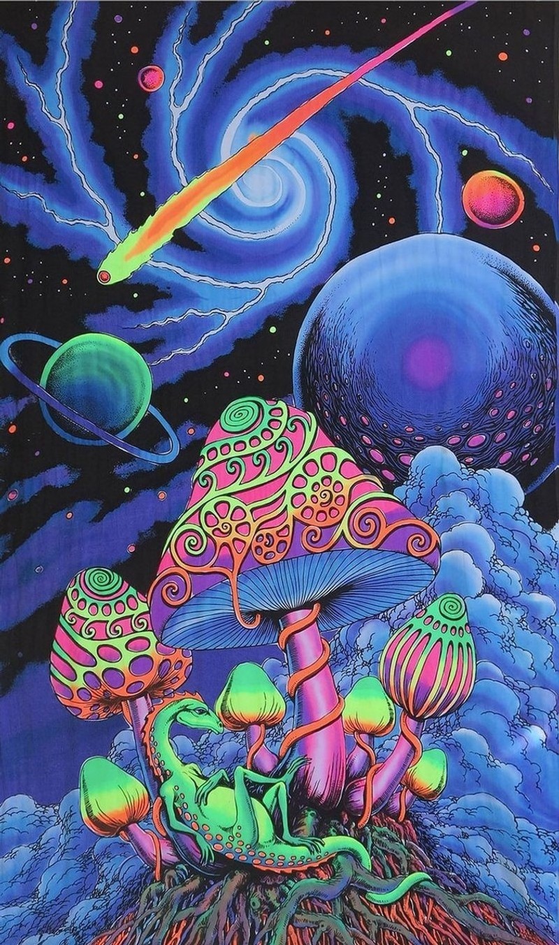 A close up of a psychedelic poster with a mushroom and a frog (designs, earth)