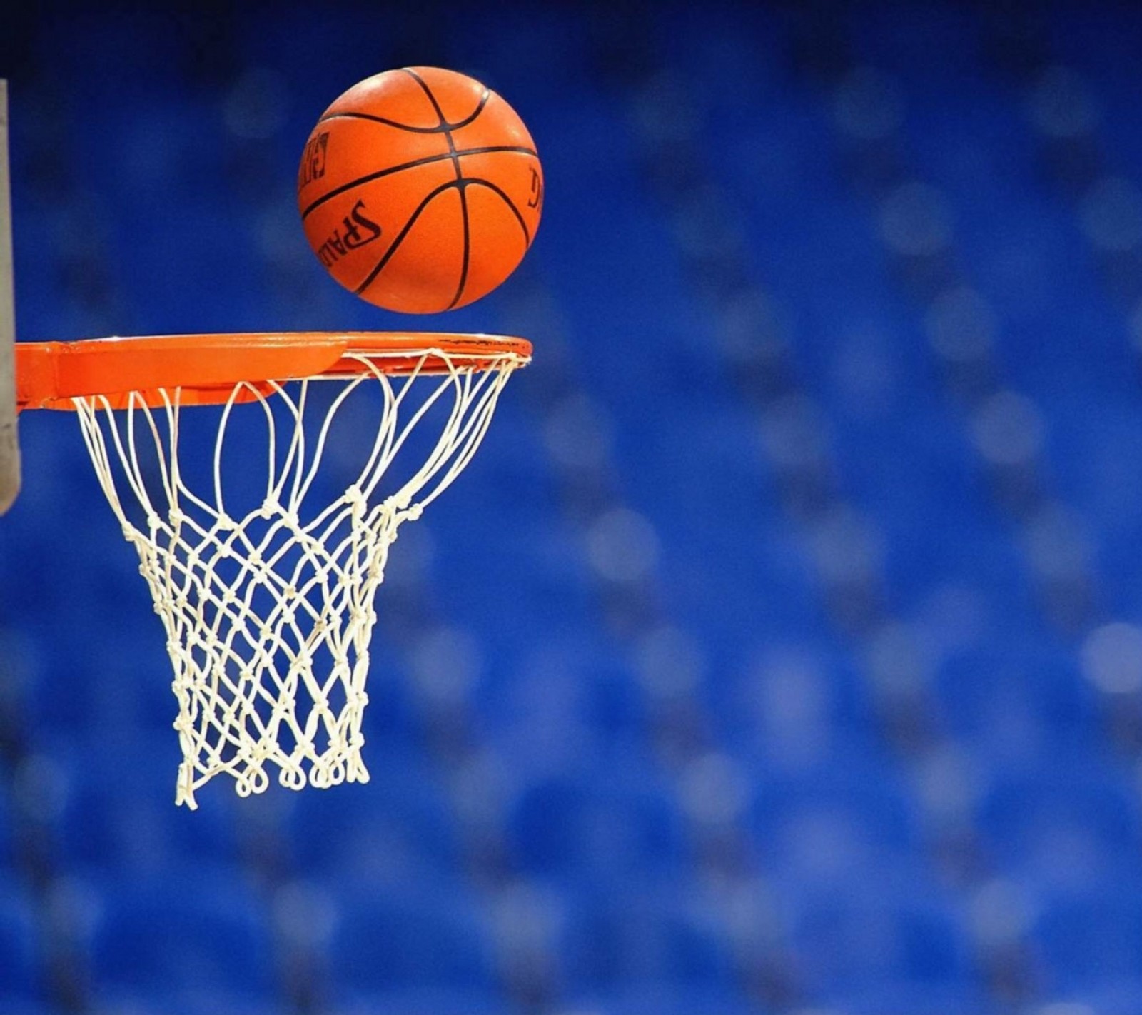 Una pelota de baloncesto pasa a través de la red de un aro de baloncesto (baloncesto, deportes)