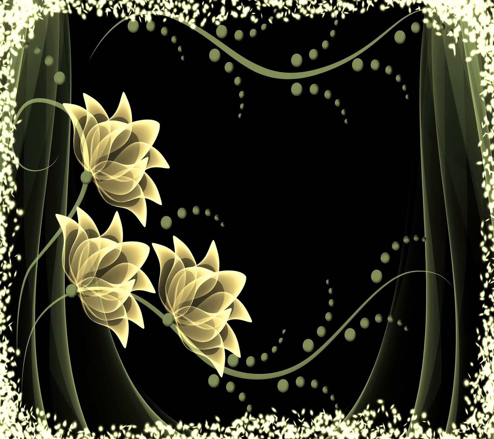 A close up of a flower with a black background and a gold border (floral, flowers)