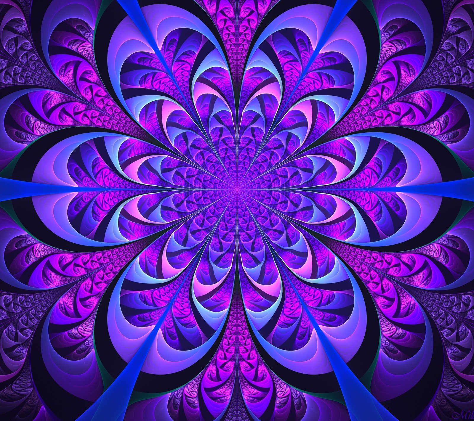 Une fleur violette et bleue sur un fond noir (3d, abstrait, motif, spirale)