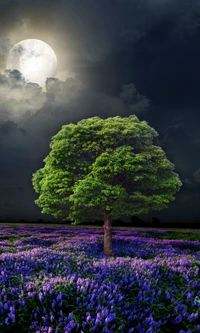 Campo en flor bajo una luna llena