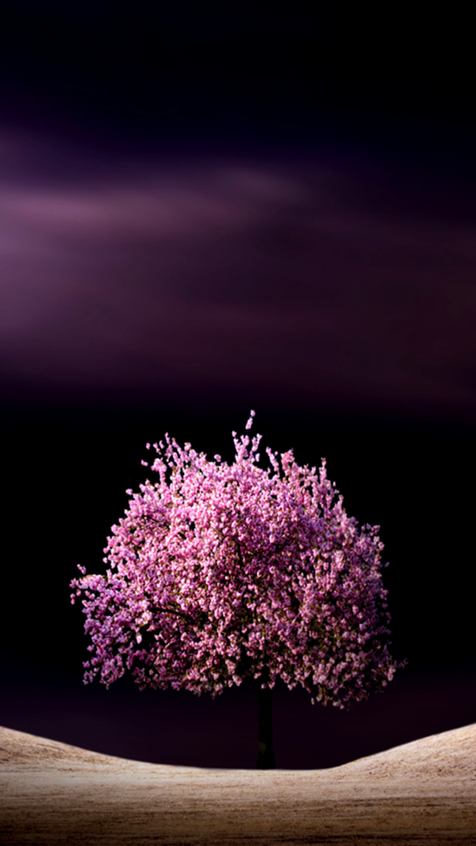 Un arbre violet dans un champ avec un ciel sombre en arrière-plan (majestueux, violet, arbre)