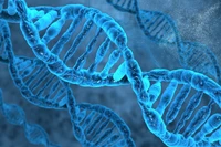 dna, blue, marine biology, electric blue, molecule wallpaper