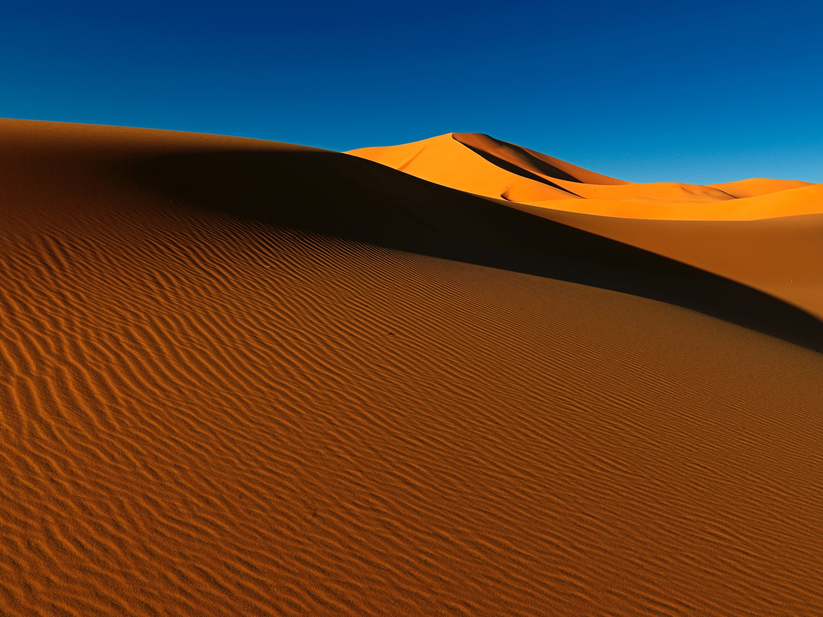 Une vue d'un désert avec quelques dunes de sable et un ciel bleu (désert du sahara, dunes de sable, algérie, sol, journée)