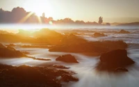 Tranquil Sunrise Over Calm Waves and Shoreline