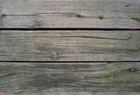 plank, wood, tree, wood stain, lumber wallpaper