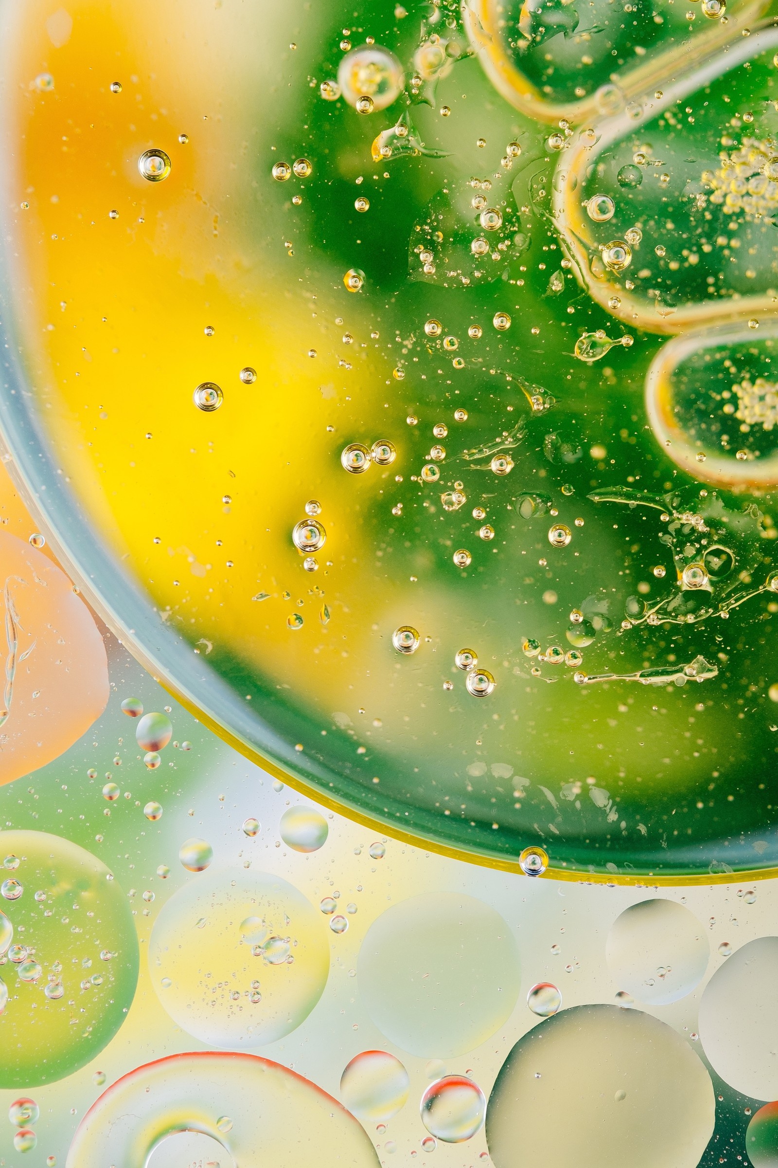 A close up of a bowl of liquid with a bunch of bubbles (green, lime, food, citrus, drink)