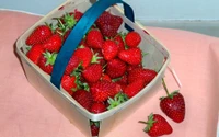 Freshly harvested strawberries in a basket on a pink cloth.