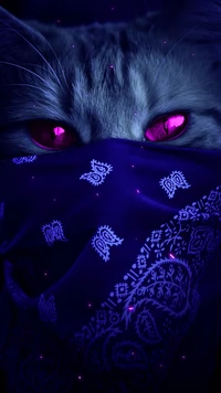 Yeux violets d'un chat mystérieux voilé de violet