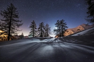 Nuit d'hiver étoilée sur un paysage enneigé