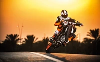 ktm, stunt, motorcycle, stunt performer, extreme sport