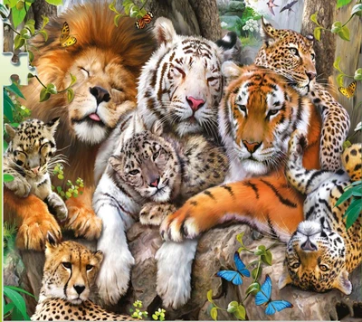 animals, wild