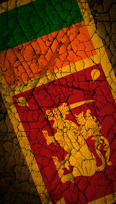 Cracked Textures of Sri Lanka's Vibrant Flag