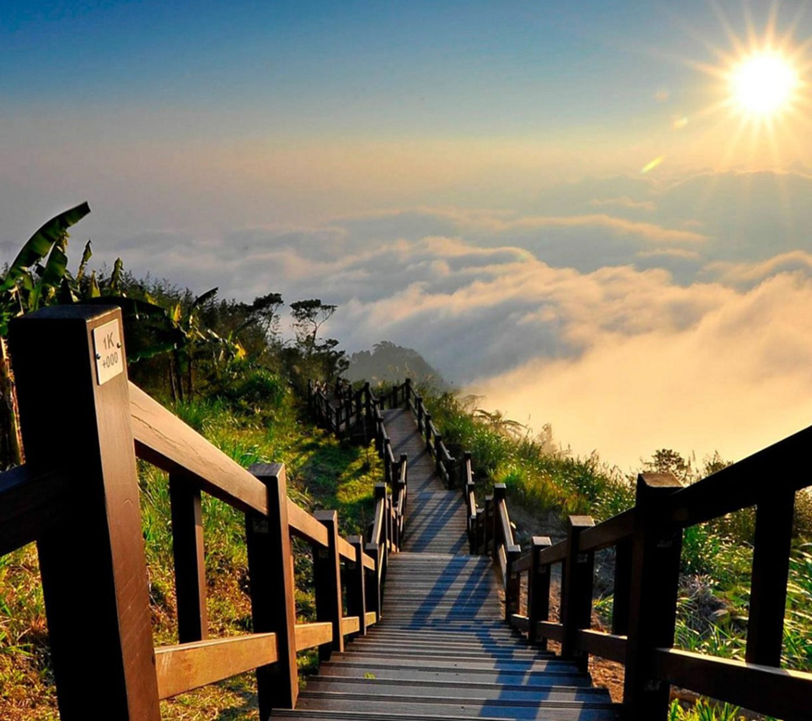 Escaleras de madera que llevan a una montaña con vista a las nubes (playa, nubes, paisaje, naturaleza, nuevo)