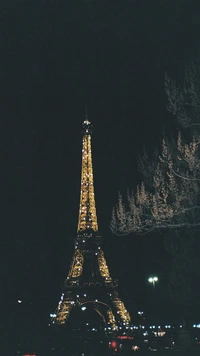 Torre Eiffel iluminada por la noche en París