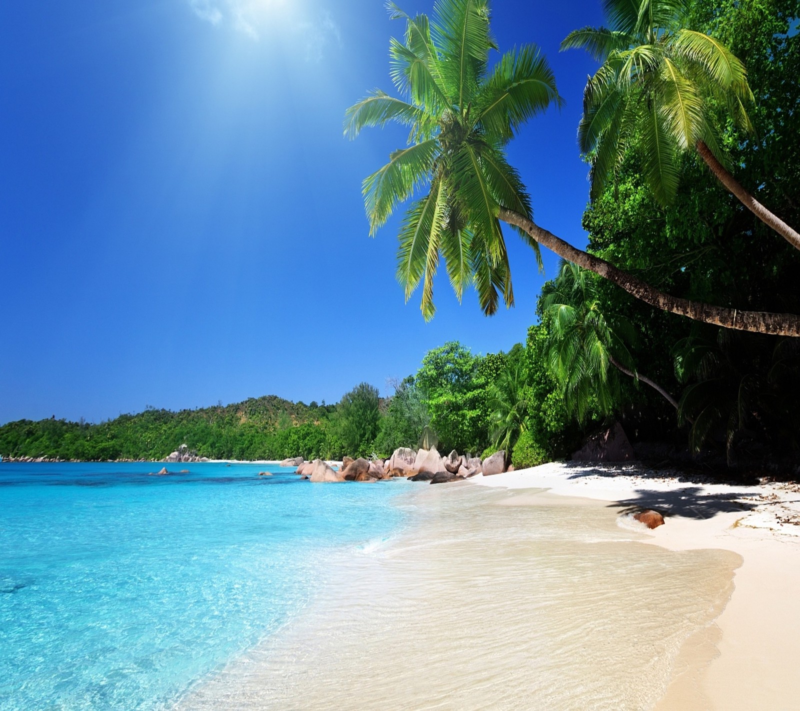 Arafed palm trees line the beach of a tropical island (beach, sea, sun)