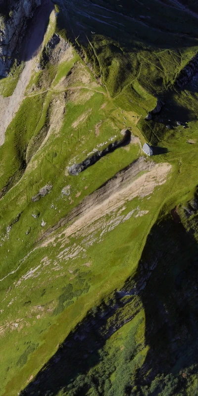 Vista aérea de un paisaje verde exuberante con afloramientos geológicos y algas verdes vibrantes.